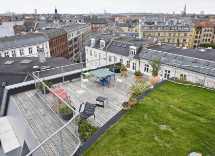 Rooftop Garden Birkegade - JDS Architects (foto: Allard de Goeij)