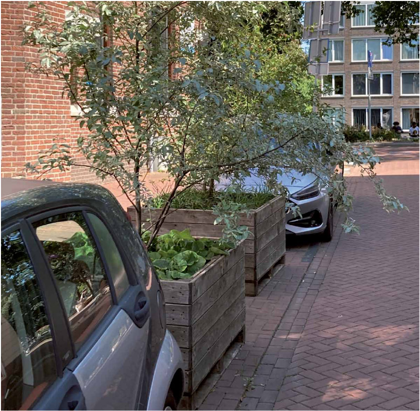 Auto’s, bomen en burgers